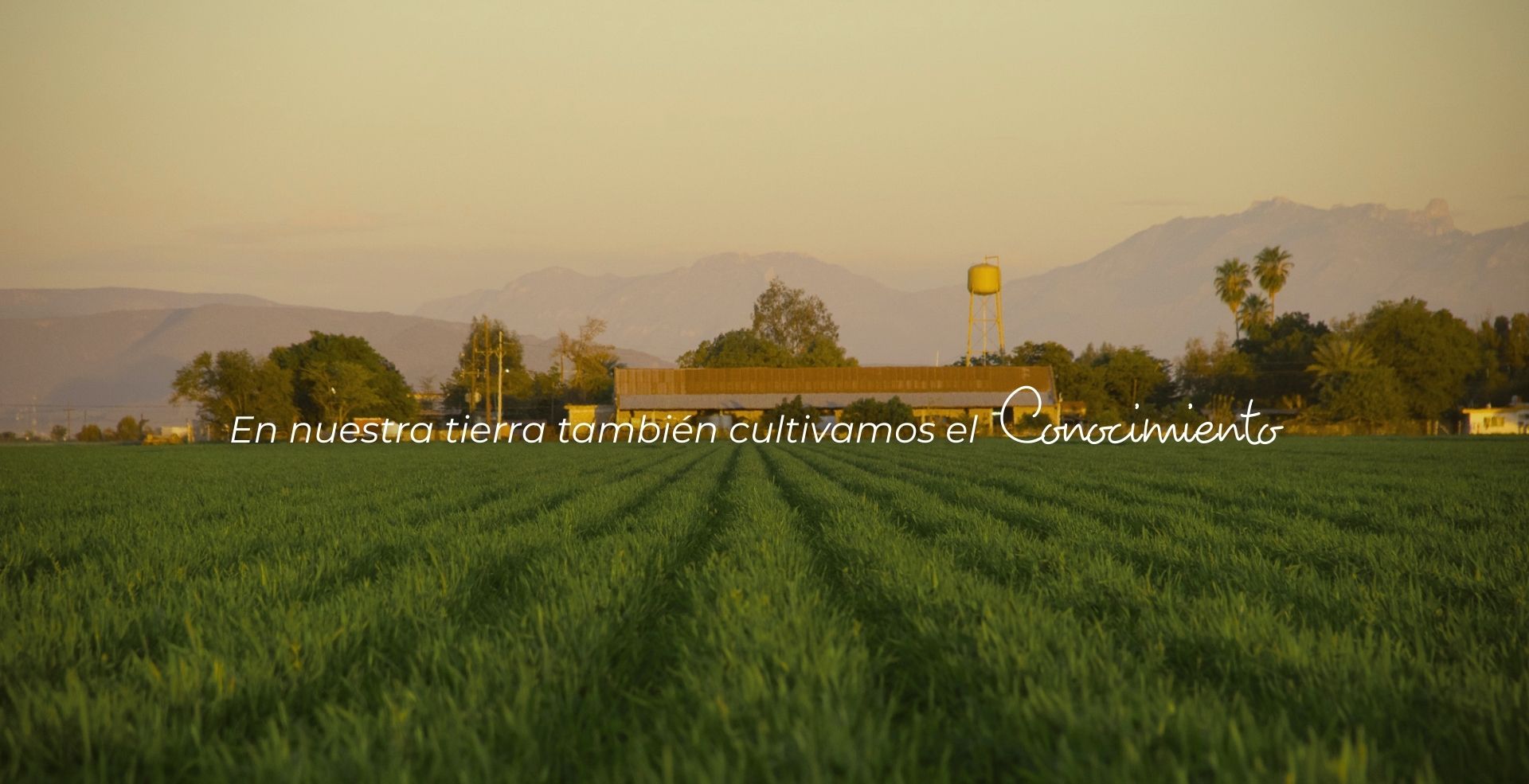 cultivamos el conocimiento